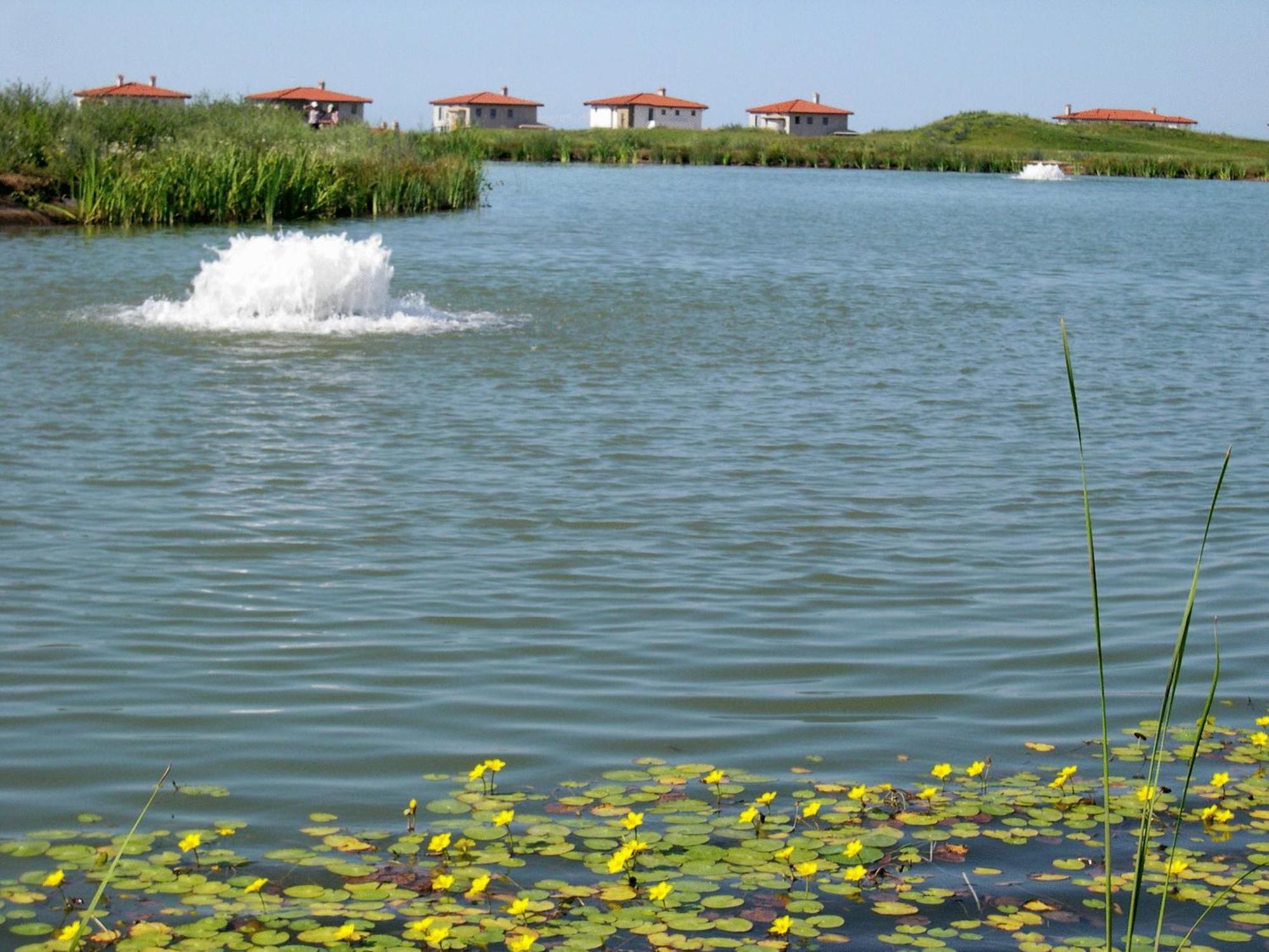 Blacksearama Golf & Villas Balchik Bagian luar foto